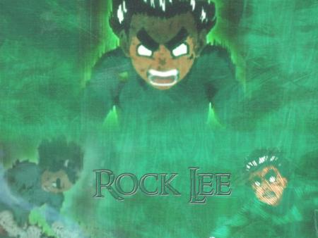 Rock lee03