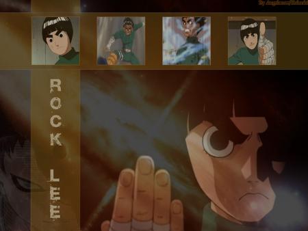 Rock lee01